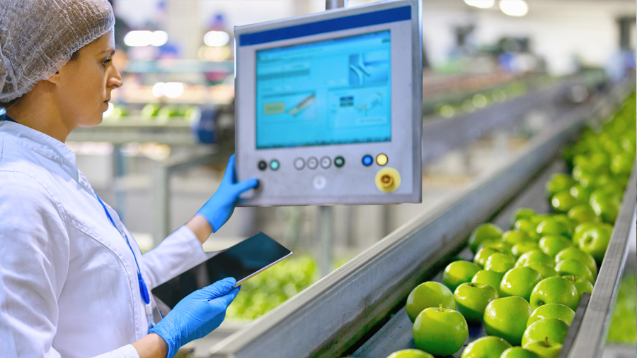 food sorting plant