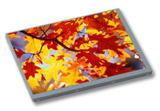 TFT Displays PH800480T-013-ICA